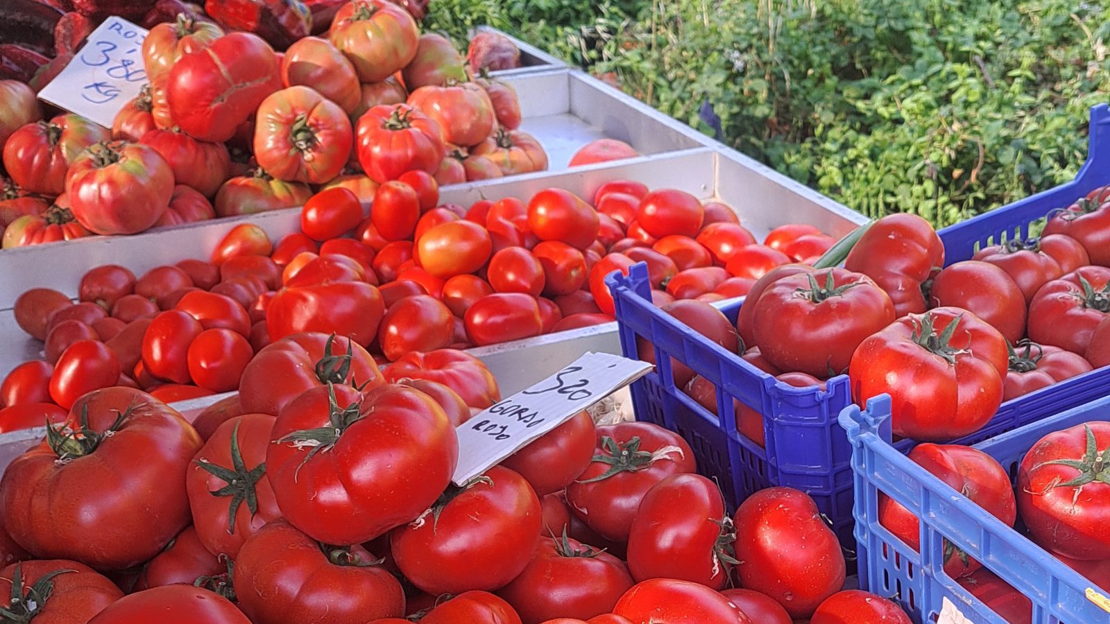 Hochgeladenes Bild