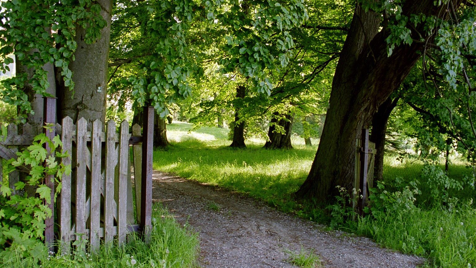 Hochgeladenes Bild