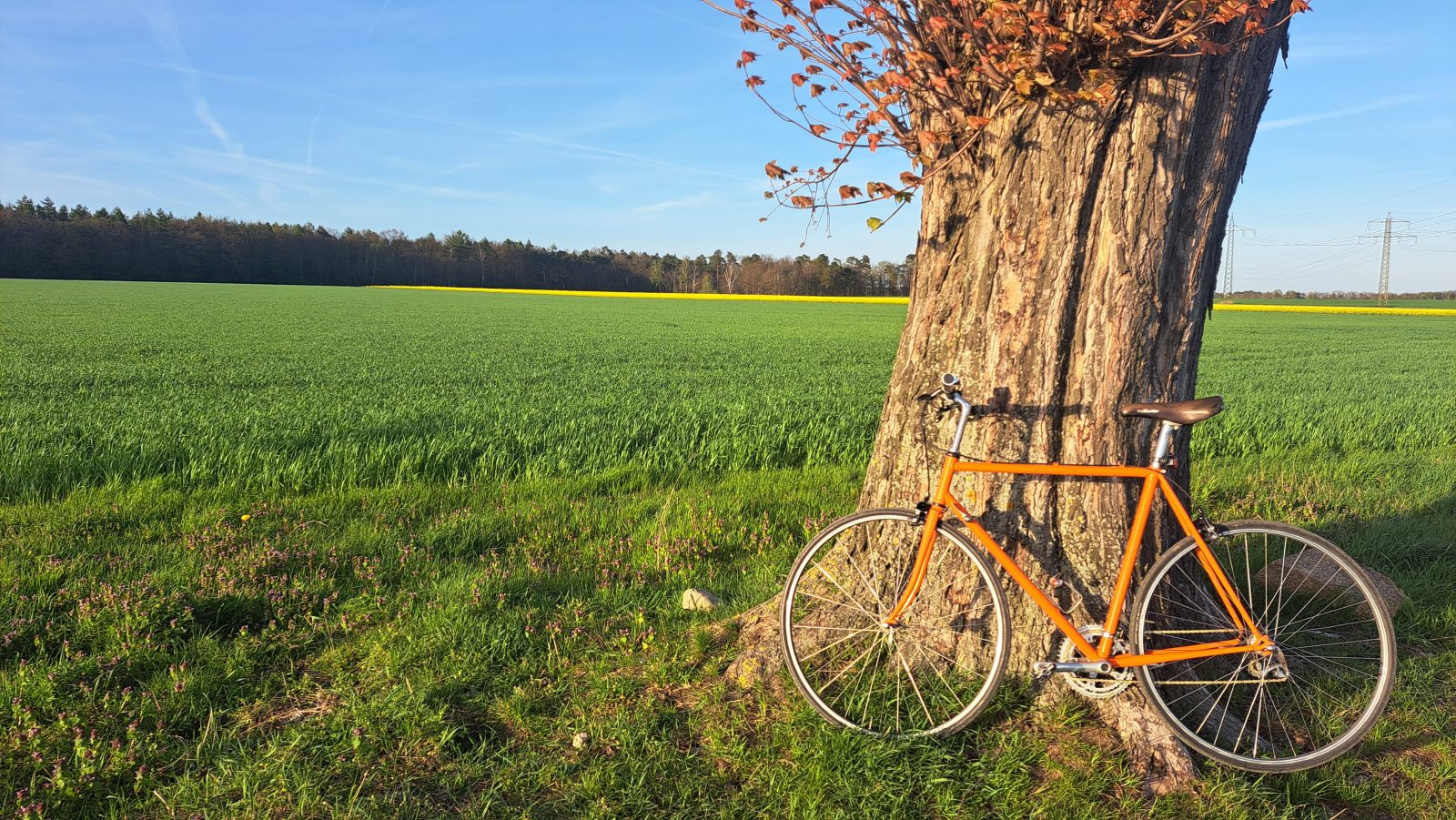 Hochgeladenes Bild