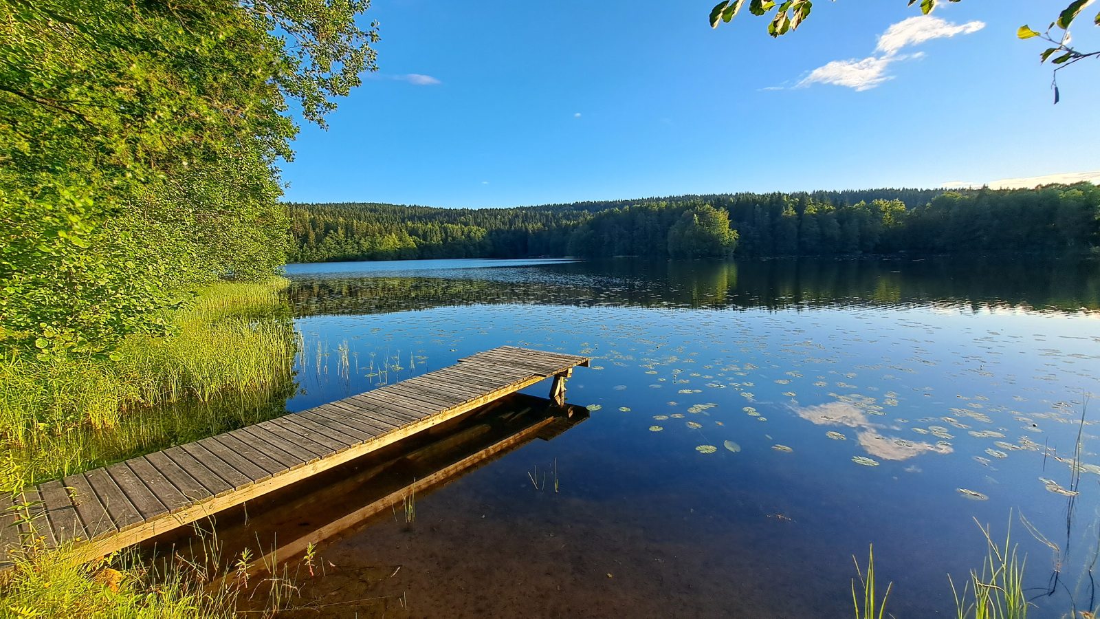 Hochgeladenes Bild